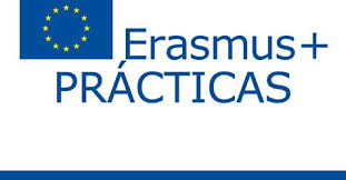 Erasmus Prácticas: estancias en empresas de países de la UE para  estudiantes UPV : Oficina de Programas Internacionales de Intercambio : UPV