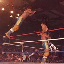 A to help her in her daily life. Glossary Of Professional Wrestling Terms Wikipedia