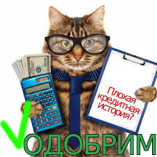 как получить кредит с плохой кредитной историей и просрочками Onlajn Zajmy S Plohoj Kreditnoj Istoriej Istoriya Mikeny Organizaciya