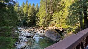 We did not find results for: Middle Fork To Salmon La Sac Traverse Washington Trails Association