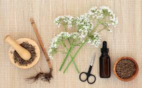 Дейн дехаан, кара делевинь, итан хоук и др. How To Take Valerian For Sleep Guide To Using Valerian Root