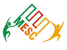 Media & Entertainment Skills Council logo with stylized text and two human figures