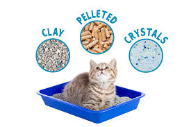 If your dog eats a significant quantity of clumping cat litter, he is at risk for dangerous intestinal blockage. Litter Train Your Kitten