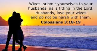 Colossians 3 18 19 Colossians Colossians 3 Daily Bible Verse
