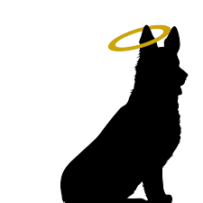 Free german shepherd puppies maine. Miracle German Shepherd Dog Rescue Of Maine Posts Facebook