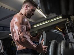 The 8 Best Shoulder Exercises As Recommended By Ryan Terry