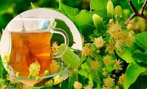 Resultado de imagen para TILA