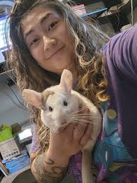 Spokane/Newport I have three standard gray chinchillas that were born in  January looking for new homes. Please message me for more info. I know two  of them are males. I have not