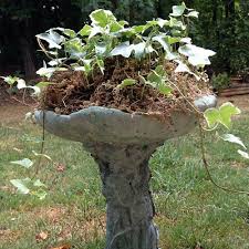 These sealants dry clear, or nearly clear, so won't alter the paint color on the birdbath. How To Paint A Concrete Birdbath The Home Depot