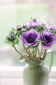 Glorious purple orbs lure pollinators to the garden. Purple Anemone Flowers In A Green Jug By Helen Rushbrook Anemone Purple
