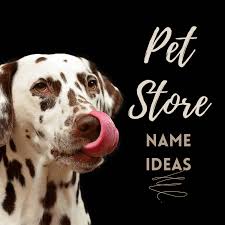 We are open every day! 50 Pet Store Names Toughnickel