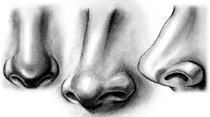 How To Draw A Realistic Nose Nose Drawing Realistic Drawings Drawings