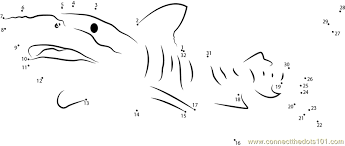 2.) cut out both shapes along the dark bold lines. Tiger Shark Great Barrier Dot To Dot Printable Worksheet Connect The Dots