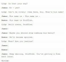 Pin By Abby Sayler On Moony Wormtail Padfoot And Prongs Harry Potter Headcannons Harry Potter Funny Harry Potter Universal