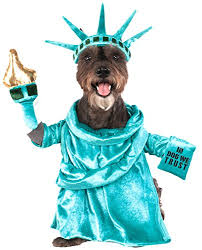 Rubies Costume 580540_s Statue Of Liberty Pet Costume Small