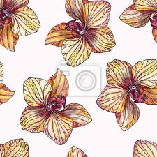 Kostenlose übungen und aktivitäten zum ausdrucken für die vorschule/schuleingangsphase. Farbe Bleistift Zeichnen Orchidee Muster Auf Weissem Hintergrund Wandposter Poster Farbstift Schone Raster Myloview De