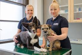 Simply browse emergency vet near me on the map below and find a list of emergency vet clinics open near you. New 24 7 Evidensia Animal Hospital To Open In Tampere Ivc Evidensia