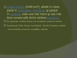 Traind, vazand si intelegand toate frumusetile acestui taram de vis. Delta Dunarii Rezervatie A Biosferei Elev Ardelean Simina
