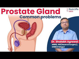 Elevated Pus Cells In Urine During Pregnancy: Reasons, Treatment And Home  Remedies - Sitaram Bhartia Blog