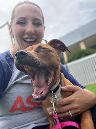 Nancy Melichar's Instagram, Twitter & Facebook