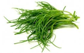 A Come Agretti