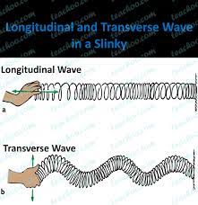 In this list we have included all punjab answer : Characteristics Of Longitudinal And Transverse Waves Class 11 Characteristics Of Transverse Wave Page 1 Line 17qq Com Esandn