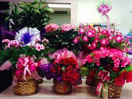 Check spelling or type a new query. Simply The Best Flowers Eden Nc Spring Is Here Beautiful Hydrangea Azalea Petunia Begonia Easter Lily Plants Are Now In Stock We Offer Easter Lilies In Single Stalk Double Stalk