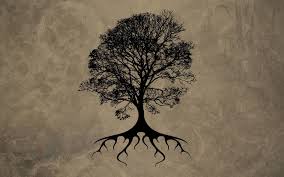 11 best hd tree of life wallpapers oak tree tattoo tree tattoo oak tree drawings oak tree tattoo tree tattoo oak tree