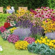 Staudenbeet Blooms For Months 29 Pflanzen In 2020 Staudenbeet Pflanzen Garten