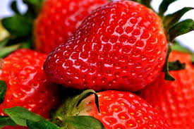 With all of these amazing benefits, we may want to share the wealth with our cats! Can Guinea Pigs Eat Strawberries Yes Or No