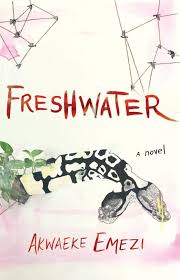 Lizzy recommends this unique ya story featured on summer reading list for middle school/high school. Akwaeke Emezi National Book Foundation