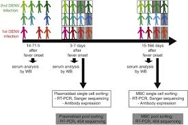 A full classic game that will pop your fever for thrills and challenges. Plasmablasts During Acute Dengue Infection Represent A Small Subset Of A Broader Virus Specific Memory B Cell Pool Ebiomedicine