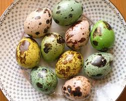 Spring Pastel Mix 10 Beautiful Dyed Quail Eggs Etsy Quail Eggs Easter Craft Decorations Quail