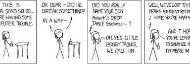 Transient Programmer Jokes Sql Injection Nerd Humor