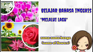 Check spelling or type a new query. Lagu Anak Anak Nama Bunga Dalam Bahasa Inggris Youtube