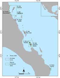 The entire far northern section of the great barrier reef marine park and the torres strait region is. Spatial Ecology Of Hawksbill Sea Turtles Eretmochelys Imbricata In Foraging Habitats Of The Gulf Of California Mexico Sciencedirect