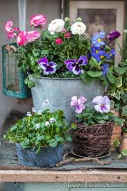 Le Temps Qui Passe Dans Le Jardin D Eugenie Avec Images Jardins Bacs De Jardin Jardinage En Pots