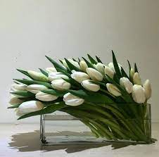 Pin On Tulips