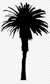 Choose from 100000+ summer graphic resources and download in the form of png, eps, ai or psd. 15 Palm Tree Silhouettes Png Transparent Background Single Palm Tree Silhouette Clipart 447389 Pikpng
