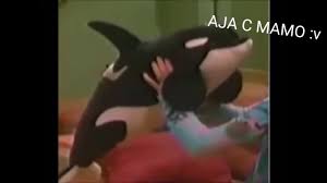 Aja C Mamo V Youtube