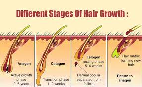 This is an easy way to thicken hair naturally instantly! How To Grow Hair Faster Thicker Naturally For Men Mensopedia