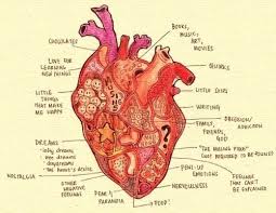 Heart Chart Heart Diagram Heart Anatomy Heart Art