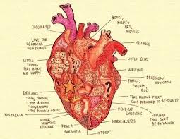 heart chart heart diagram heart anatomy heart art