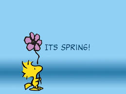 We did not find results for: Snoopy Spring Wallpapers Top Free Snoopy Spring Backgrounds Wallpaperaccess