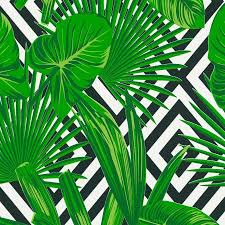 Many of these fun wall coverings convey a contemporary look in a room, with abstract and uncomplicated forms in mod colors. Green Tropical Leaf On Black And White Geometric Diamond Wallpaper