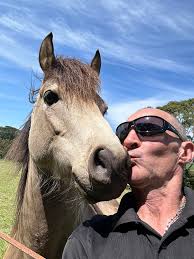 No Hoof No Horse Farrier Services