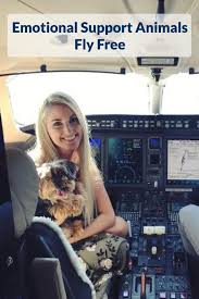 Emotional Support Animals Fly Free Find Out If You Qualify For An Esa Letter Today With Images Emotional Support Dog Emotional Support Animal Therapy Dogs