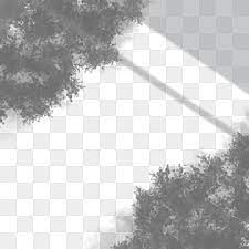Hand Painted Creative Leaf Shadow Shadow Effect Plant Shadow Shadow Png Transparent Clipart Image And Psd File For Free Download Leaf Background Shadow Hand Painted