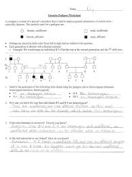 In a pedigree a square represents a male. Genetics Pedigree Worksheet