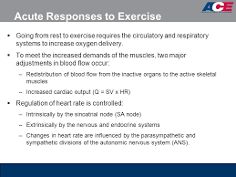 Acute And Chronic Adaptations To Exercise Exercise Poster